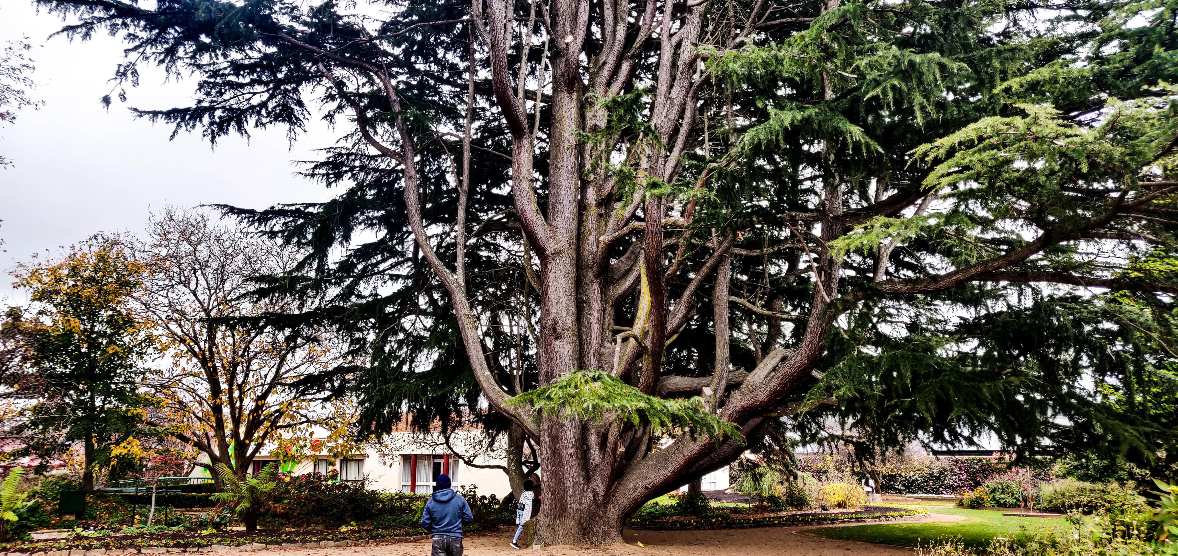 Corbett Gardens